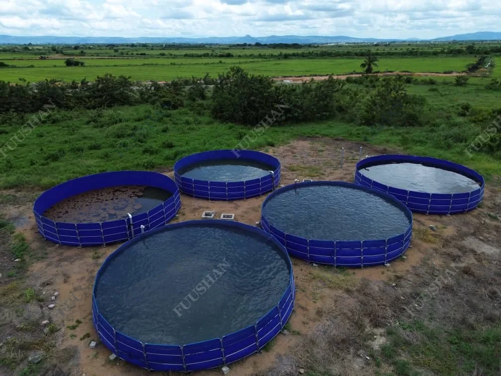 9 m Galvanized Pipe Fish Tanks for Aquaculture in Africa